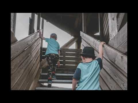 Wildkatzenlehrpfad mit Aussicht - Unser Familienausflug in den Hochtaunus