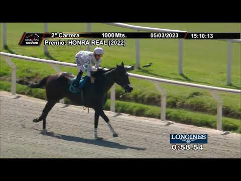 230305 c02 LITTLE ROY