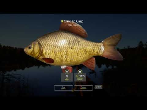 Russian Fishing 4 Tips for Leveling 9 How to fish with your wife