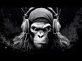 Techno GYM Music 2024 Agressive Monkey Radio Stream