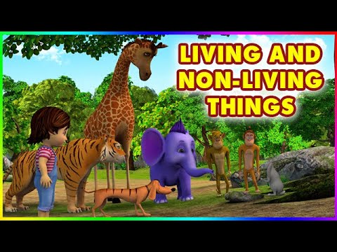 Episode 8 - Living and Non-living Things | 4k | Appu the Yogic Elephant