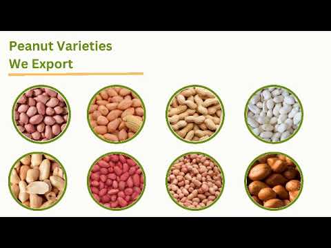 Peanuts suppliers, moongphalli exporters and dealers, packag...
