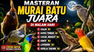 Download lagu MASTERAN MURAI BATU JUARA MALAM HARI Dijamin Nembak Kasar & Fighter Naik! #masteranmuraibatu mp3 Download lagu MASTERAN MURAI BATU JUARA MALAM HARI Dijamin Nembak Kasar & Fighter Naik! #masteranmuraibatu mp3