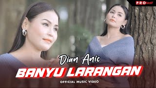 Download lagu Dian Anic Banyu Larangan....mp3