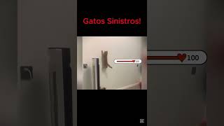 Gatos sinistros !!