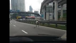 faze tari strutul pe strada