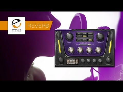How To Mix A Vocal Using Waves Manny Marrroquin Reverb