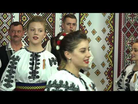 ANSAMBLUL RITMURI ZARANDENE  - DANS JIANA