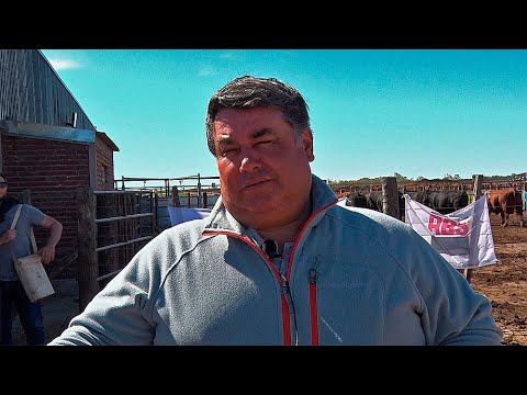 JUAN MARTIN ELIGIO LOS MEJORES