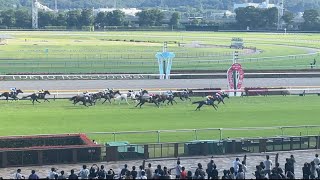 【POG21-22】競馬沼ドラフト会議 協賛ドニキ