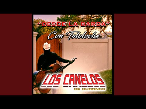 El Pio Diaz (En Vivo Con Tololoche)