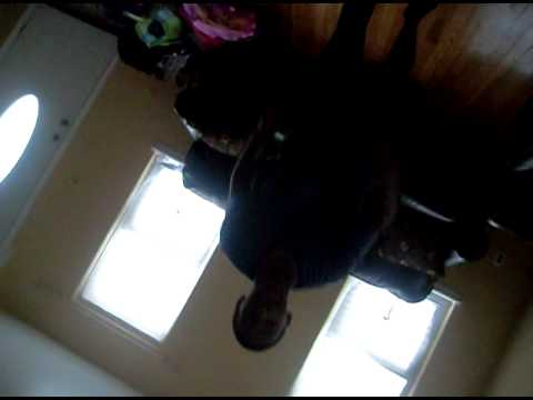 SEPT 5 -  '  DSC , ( Back To School Baaassh )  Be Dare ,