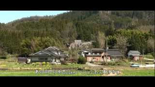 preview picture of video 'h376 ShinjouJi Shidare Sakura 真浄寺のしだれ桜 HD'