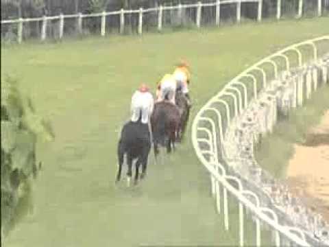 The Calcutta St.Leger 2014