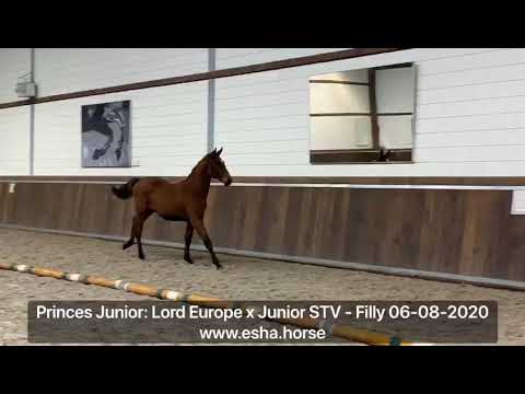 Princes Junior: Lord Europe x Junior STV