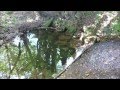 Eitzum Heimatbund 22 09 2012