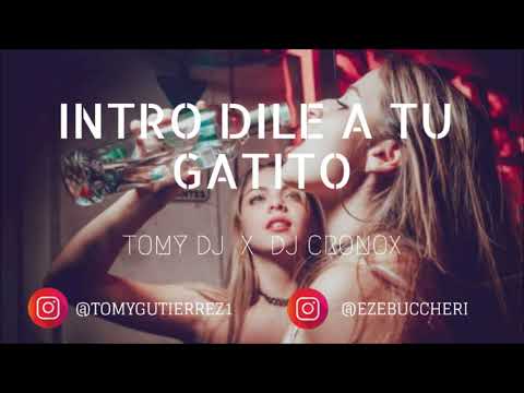 TOMY DJ - INTRO DILE A TU GATITO FT. DJ CRONOX [ RKT FIESTERO ]