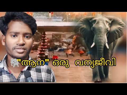 🐘 WILD ANIMAL 🧐 SK PLATOON 🍁 SELVAKUMAR 😎 #elephant #festival