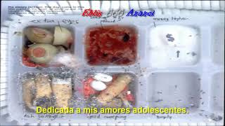 The sleepy jackson — Come to this (subtitulada).