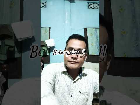 SPOROPHYLLS #modified #leaf#sporangia#bear #spore