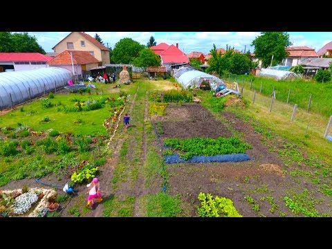 AKTIV HATVAN 026 - Budapestről Boldogra