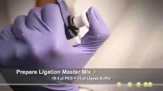 nCounter miRNA Sample Preparation nCounter miRNA Sample Preparation