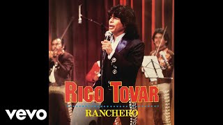 Rigo Tovar - Golondrina De Ojos Negros [Versión Mariachi] (Audio)