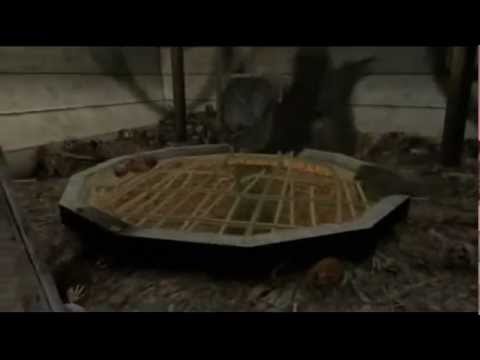 Chemarea lui Cthulhu [Capitolul 2] - Atacul pescarilor