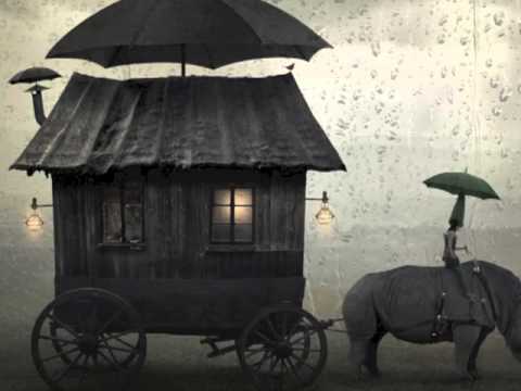 A Rainy Rhino Ride