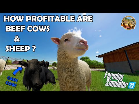 , title : 'How Profitable Are Beef Cows & Sheep?! | Farming Simulator 22'