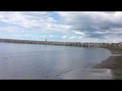 ul-1 leopard motor part 4