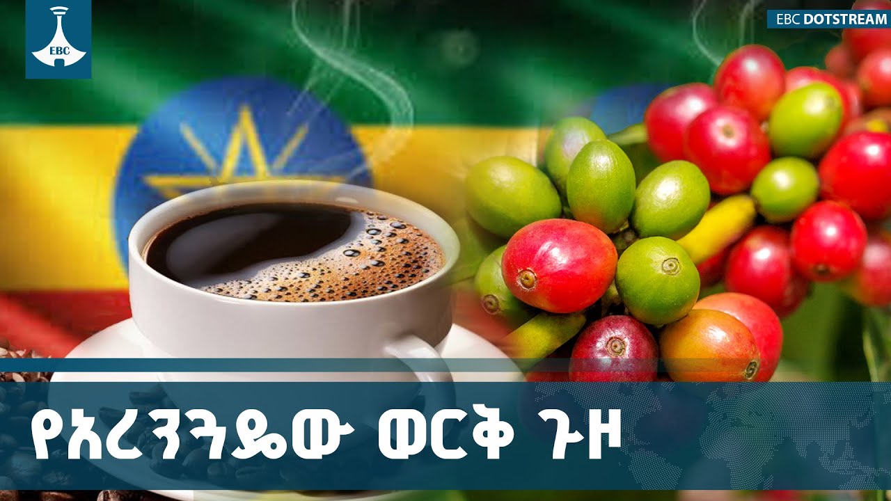 የመደመር መንግስት የተገበረው ሀገር በቀል የኢኮኖሚ እሳቤ ተጨባጭ ውጤት ካስገኘባቸ?