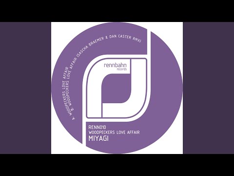 Woodpeckers Love Affair (Sascha Braemer & Dan Caster Remix)