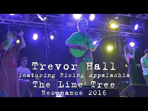 Trevor Hall w/Rising Appalachia: The Lime Tree [4K] 2016-09-22 - Resonance Music and Arts Festival
