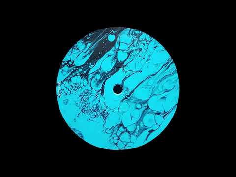 #REVERSED Anml Mthr - Invader [FLASH-X008]