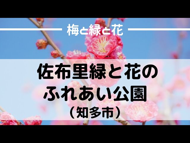 佐布里緑と花のふれあい公園 梅が有名な緑と花で溢れる自然公園 愛知まるっとパークガイド