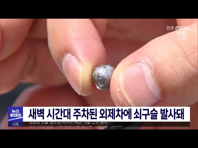 새벽 시간대 주차된 외제차에 쇠구슬 발사돼