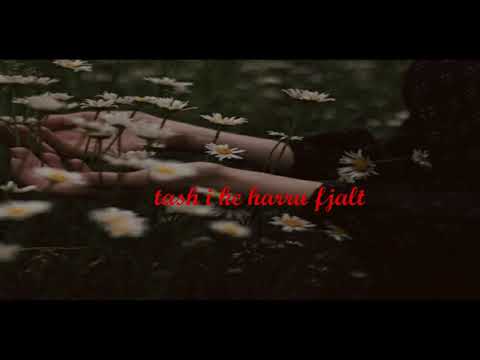 Meti Bislimi ft Mergim - Mungesa e saj