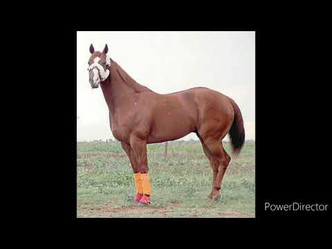 El Tapete y La Rubi- Grupo Laberinto