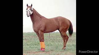 El Tapete y La Rubi- Grupo Laberinto