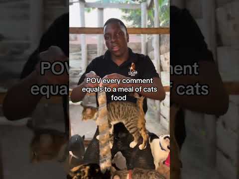 please don't sorcll my engagement is really low a simple hi will help our stray cats get food