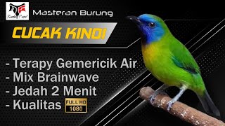 Download lagu MASTERAN BURUNG CUCAK KINOI JERNIH | Speed Roll Tembak Rapat | SUPER TAJAM mp3