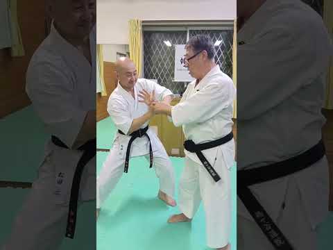 少林寺拳法　ボディバランスコントロール　崩しの解説