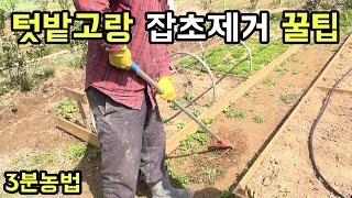 텃밭 고랑 잡초 쉽게 제거하는 꿀팁 [3분농법]│농사직방