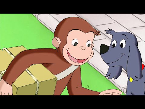 ¡¿Qué hay en la caja?! | Jorge El Curioso En Español