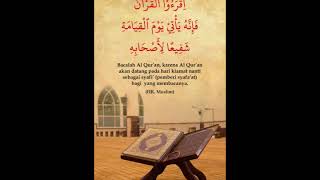 Download lagu Jus 2 Muhammad Taha Al Junayd mp3 Download lagu Jus 2 Muhammad Taha Al Junayd mp3