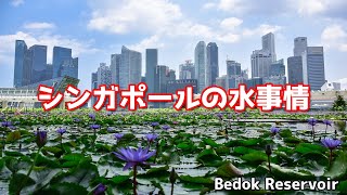 都市国家シンガポールの水事情について/ランチの注文を間違えた結果…