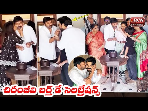 Megastar Chiranjeevi Cake Cutting Visuals || Chiranjeevi Birthday Celebrations || Bcn Channel ||