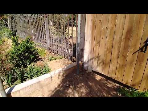 Aggressive dog barking 3 26 2022 1106 AM