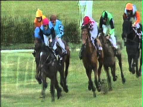 2016-02-14 corsa n5 m4000 Premio LXVII Gran Corsa Siepi Nazionale